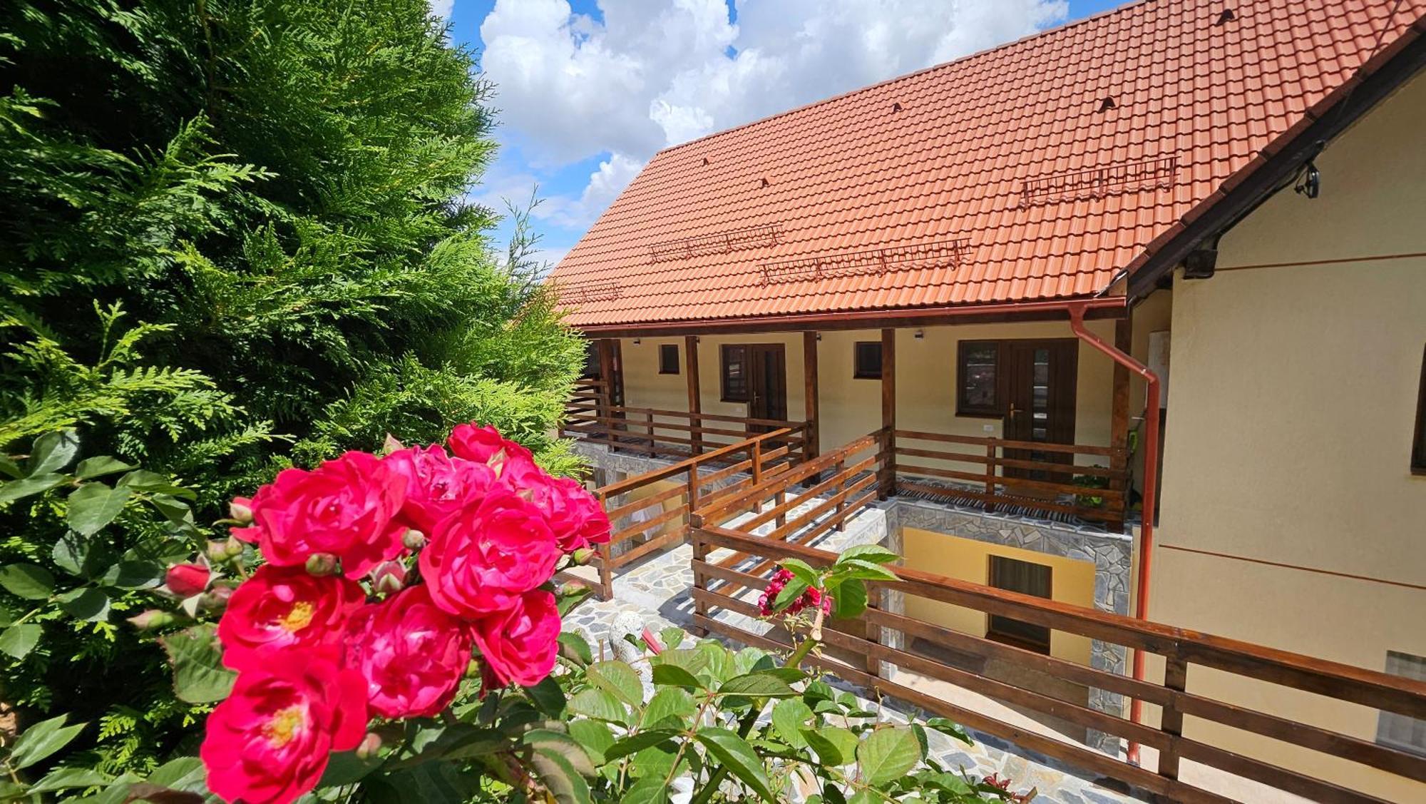 Matei Residence Brasov Exterior photo