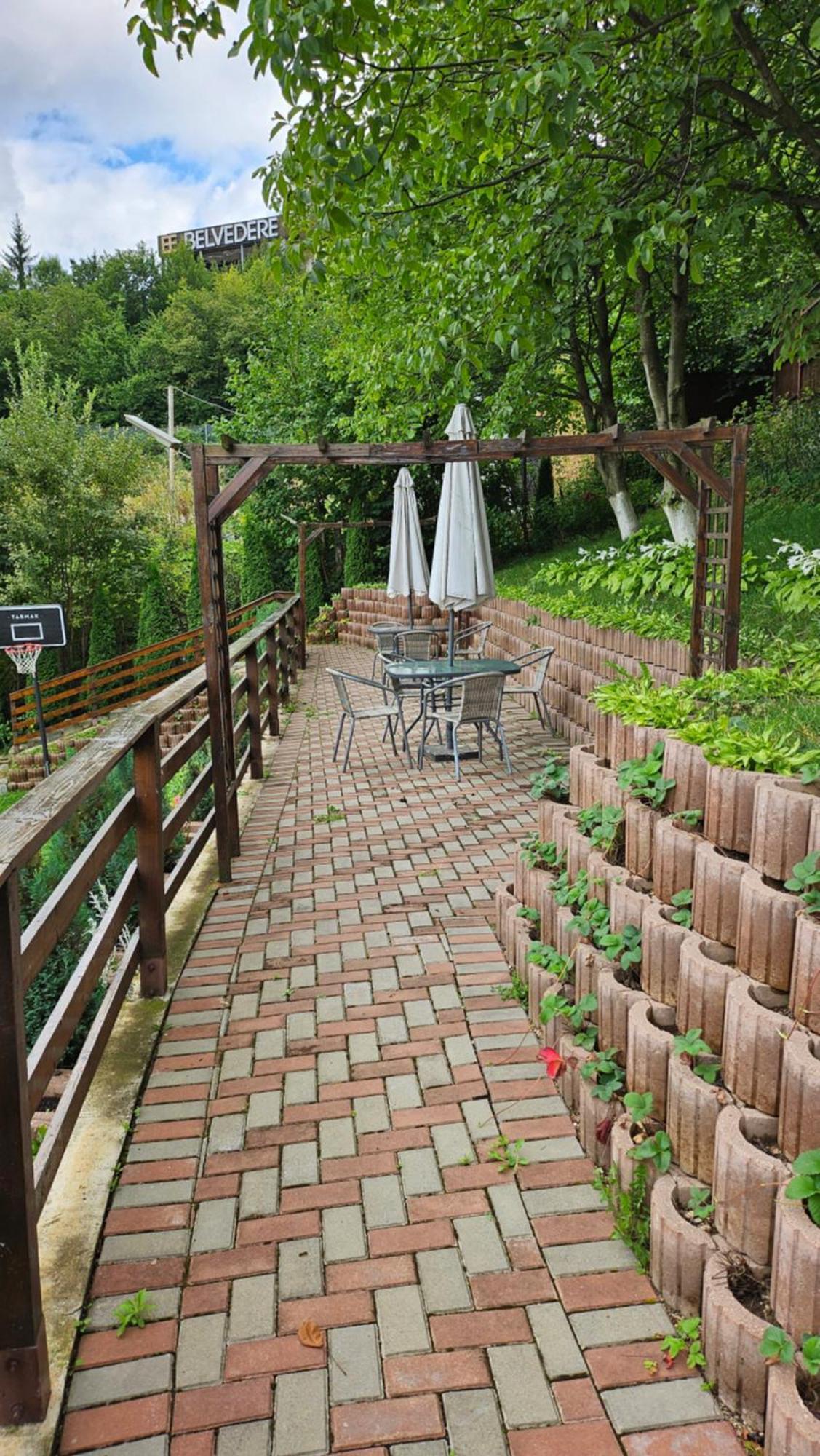 Matei Residence Brasov Exterior photo